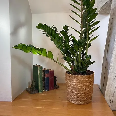 Le Clochers Apartment *
